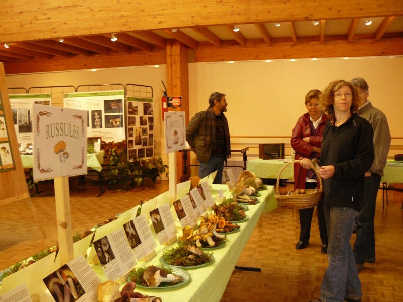 2009 10   Expo Champignons   Clairefontaine